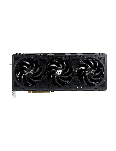 PALIT RTX5090 PHANTOM GS 32G